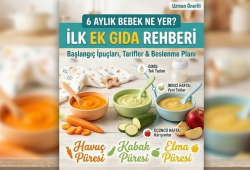 6 Aylık Bebek Ne Yer? İlk Ek Gıda Rehberi