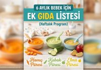 6 Aylık Bebek İçin Ek Gıda Listesi (Haftalık Program)