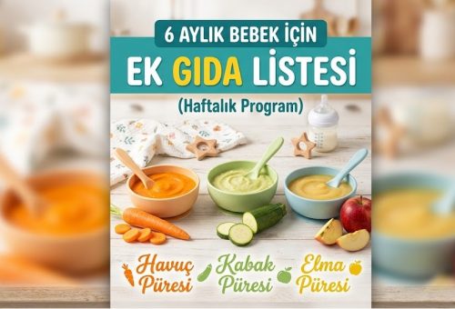 6 Aylık Bebek İçin Ek Gıda Listesi (Haftalık Program)